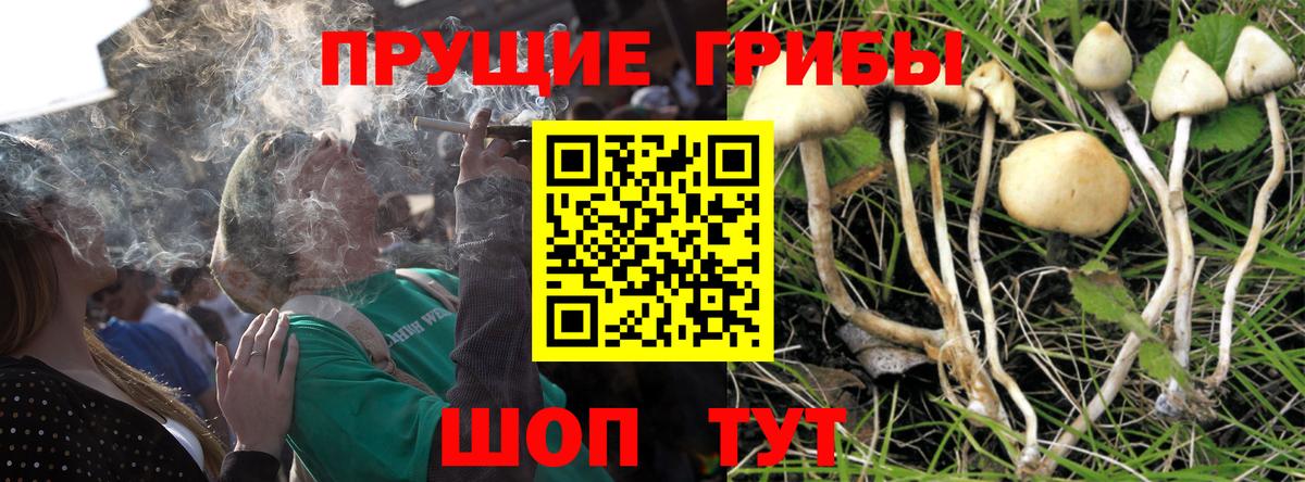 Химки  Псилоцибиновые грибы MAGIC MUSHROOMS  Псилоцибиновые грибы Magic Shrooms  Вход с VPN 